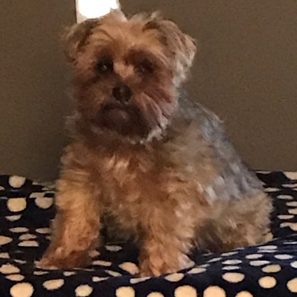 Meet your Posher, Kim